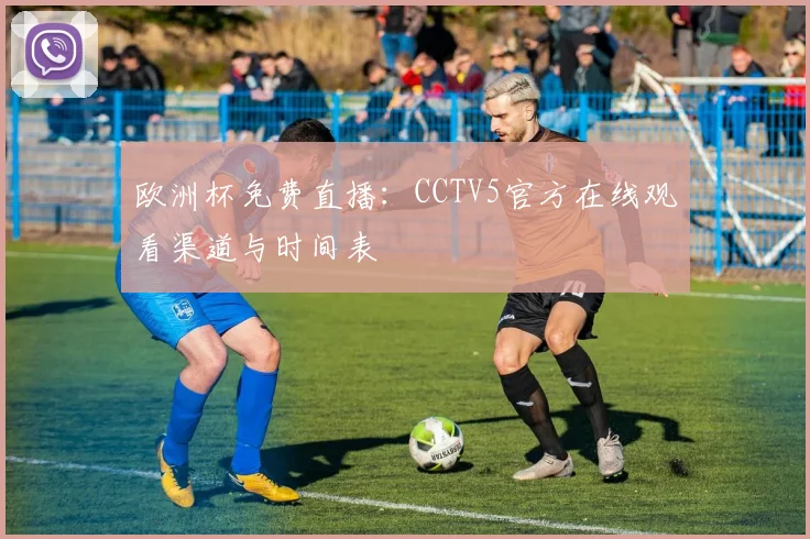 欧洲杯免费直播：CCTV5官方在线观看渠道与时间表