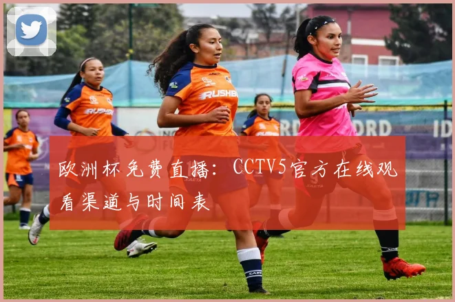 欧洲杯免费直播：CCTV5官方在线观看渠道与时间表
